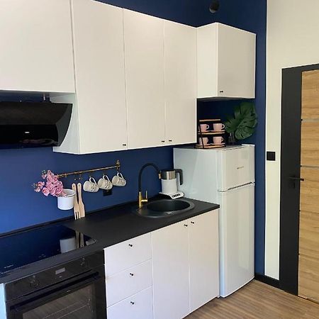 Przytulny I Nowoczesny Apartament Malgosi, 10 Min Pieszo Od Dworca I Galerii Katowice Buitenkant foto
