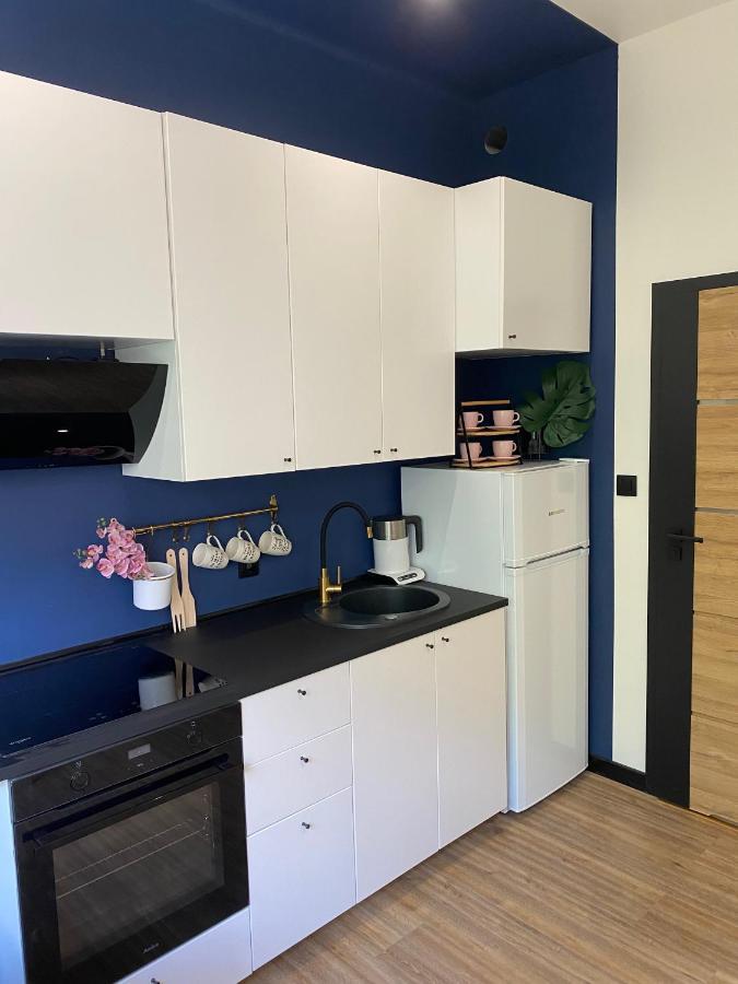 Przytulny I Nowoczesny Apartament Malgosi, 10 Min Pieszo Od Dworca I Galerii Katowice Buitenkant foto